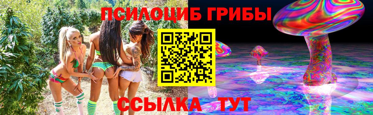 Псилоцибиновые грибы прущие грибы Шарыпово